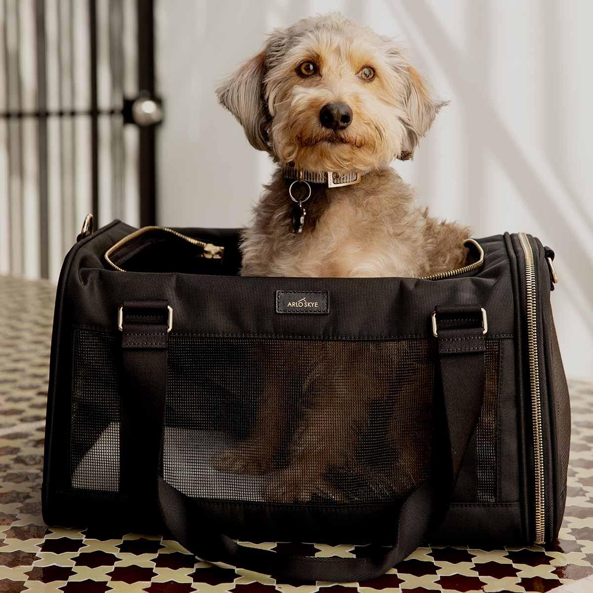 Dog Carrier