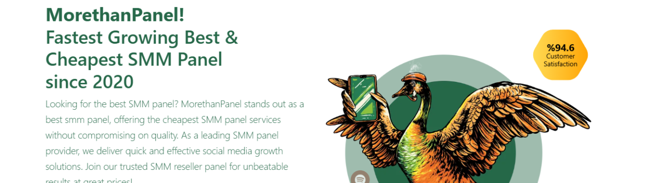 MoreThanPanel Official
