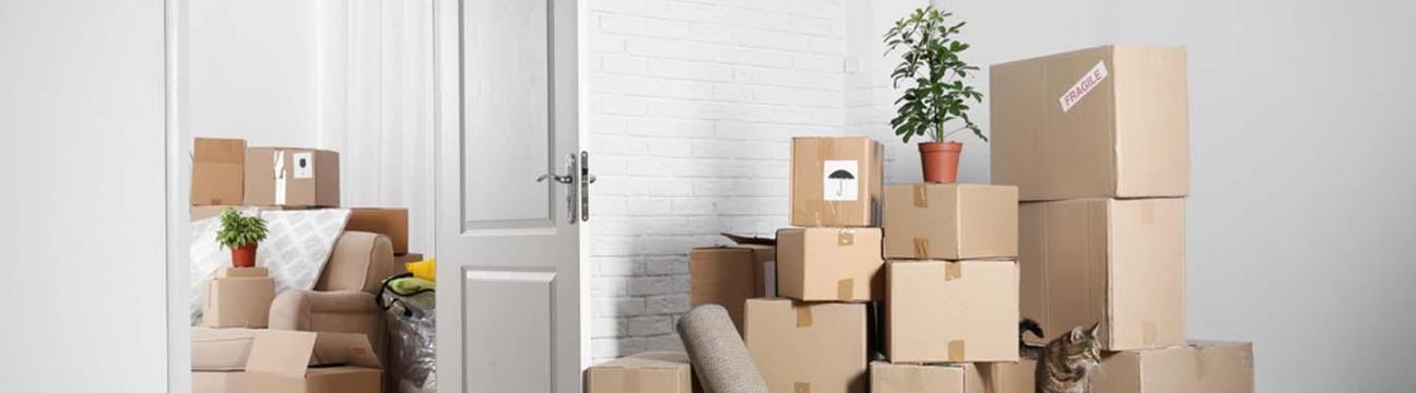 Movers And Packers In Dubai