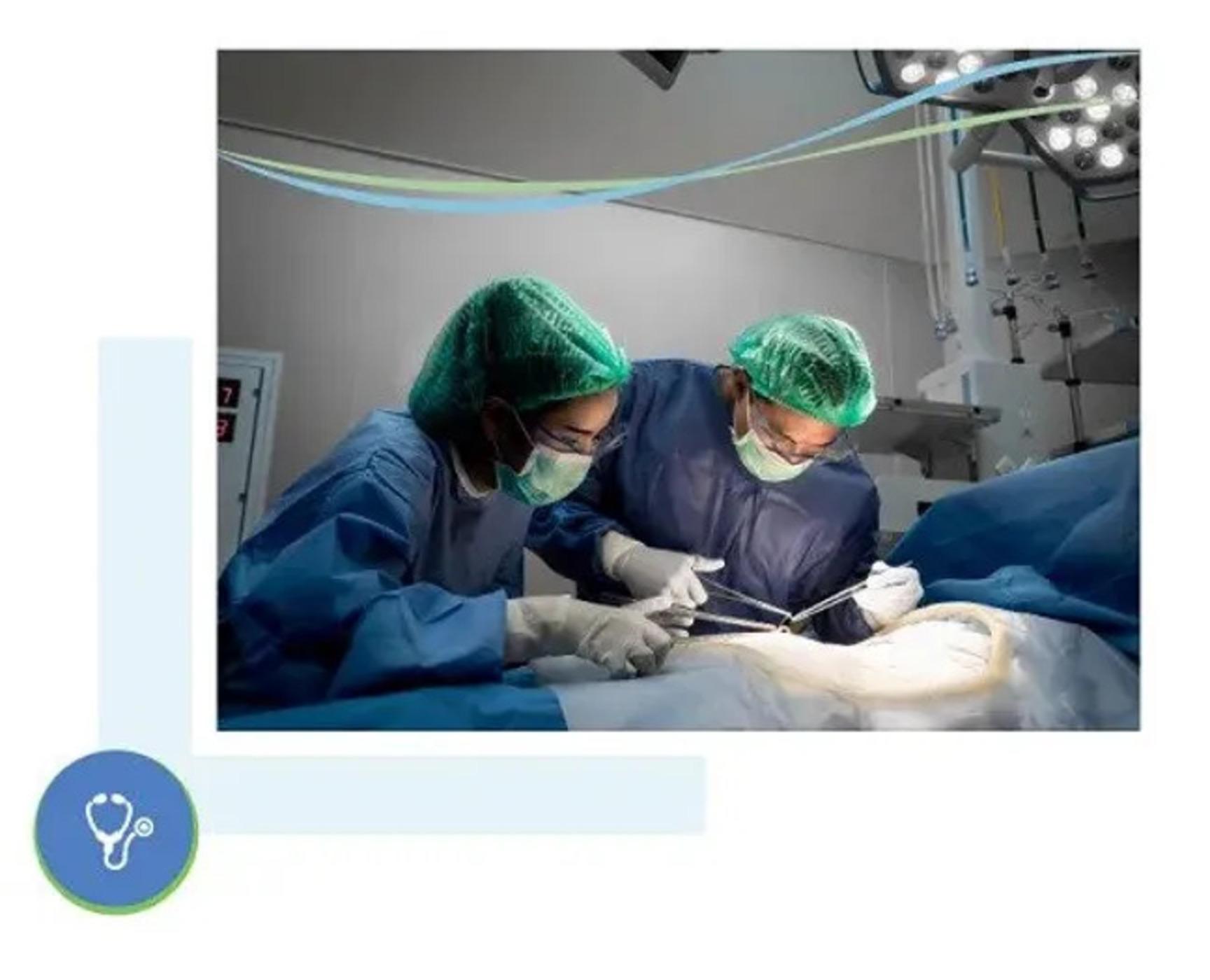 General Gynaecology  Services