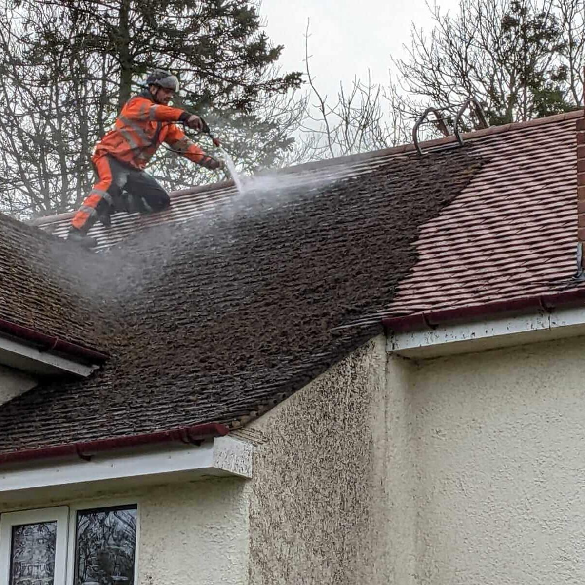 Tile Roof Cleaning  Riversdale
