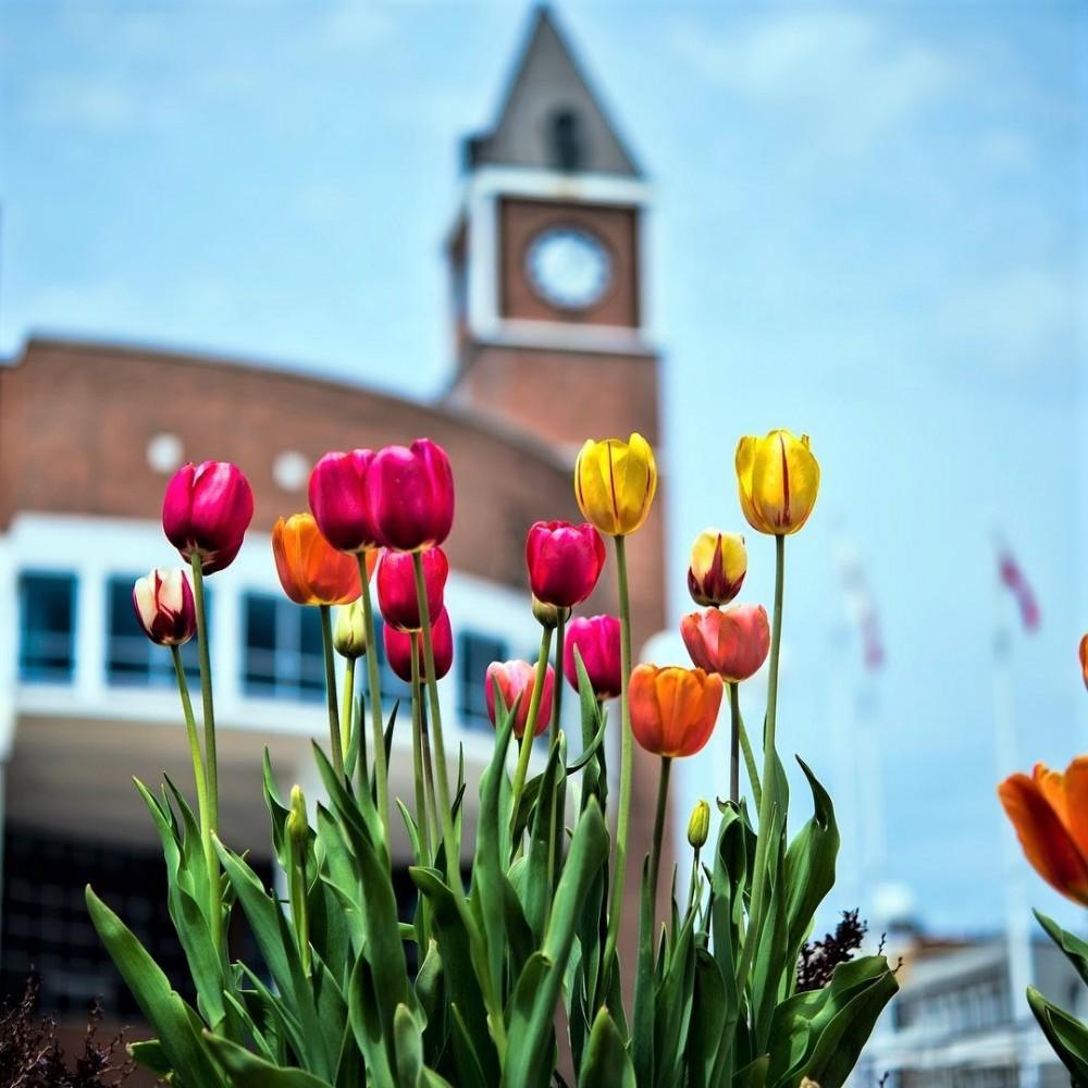 Central City Flowers
