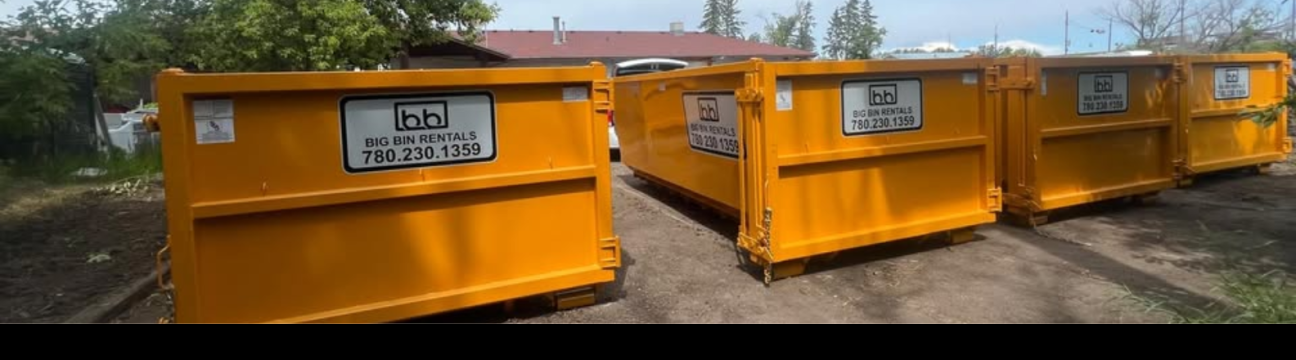 Big Bin Rentals