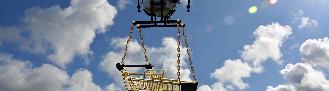 Shopify Account  Management