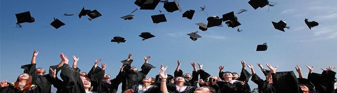 Crest Immigration  Services Inc.