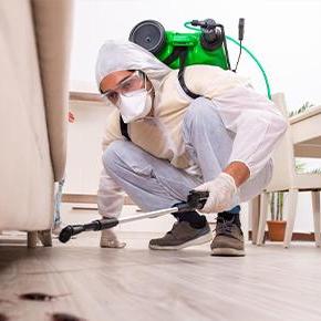 CR   pest Control 
