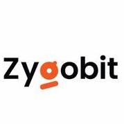 Zygo Bit