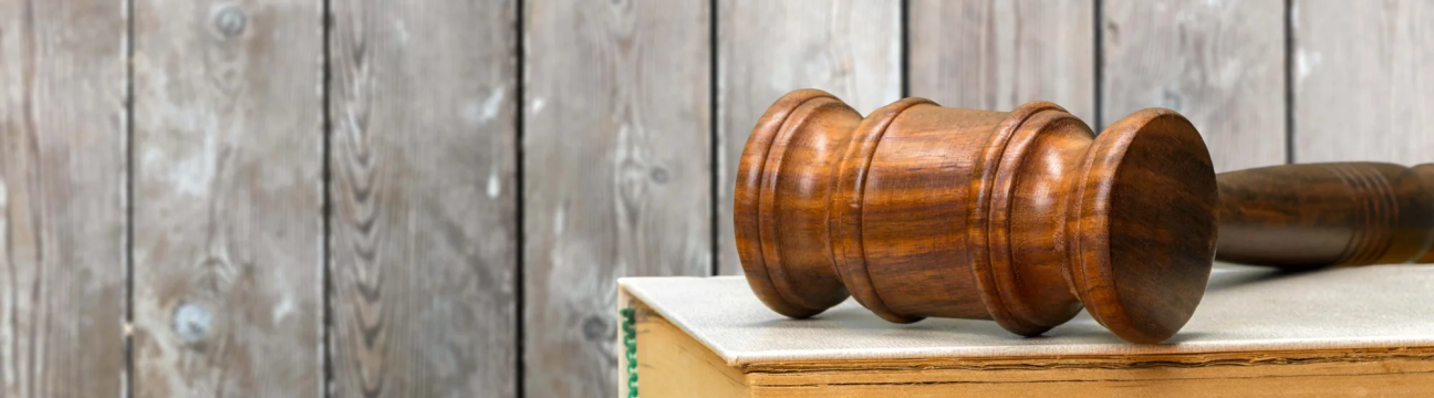 E-Courses For Court New York